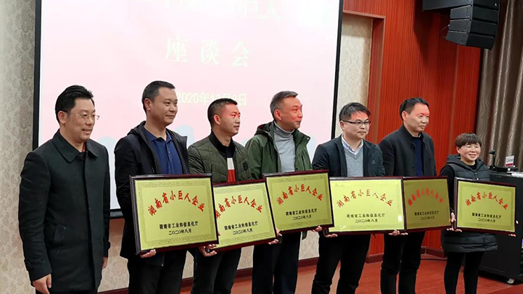 喜大普奔！炬神電子被評為湖南省“小巨人”企業(yè)